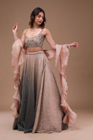 import placeholder for 5591